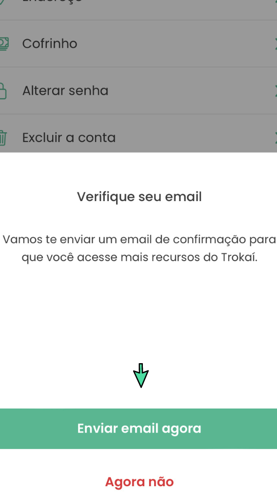 Print de tela da solicitação de confirmação de email no aplicativo Trokaí.